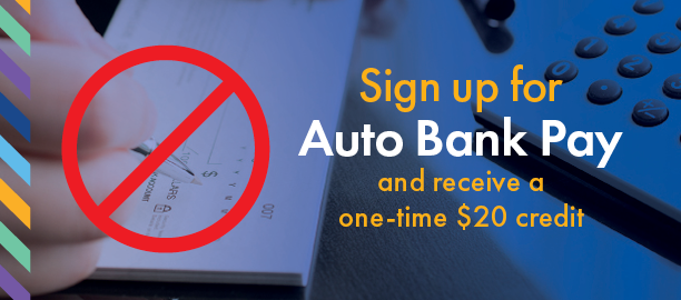 Auto Bank Pay